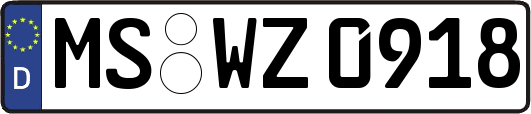 MS-WZ0918