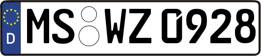 MS-WZ0928
