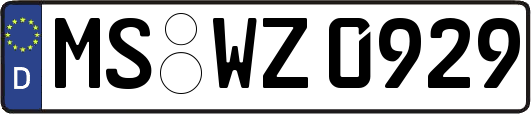 MS-WZ0929
