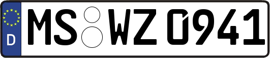 MS-WZ0941