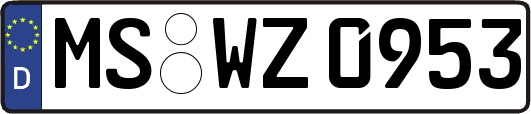 MS-WZ0953