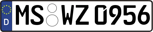 MS-WZ0956
