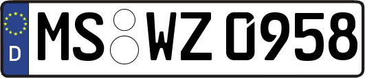 MS-WZ0958