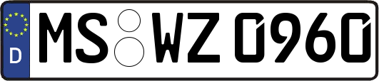 MS-WZ0960