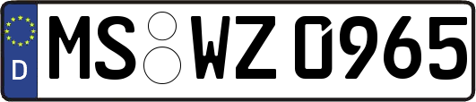 MS-WZ0965