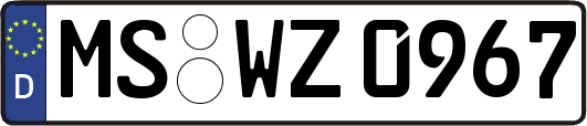 MS-WZ0967