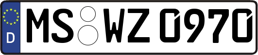 MS-WZ0970