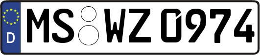 MS-WZ0974