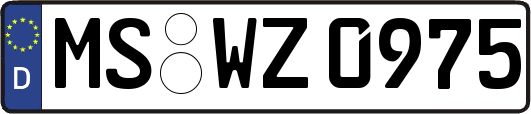MS-WZ0975