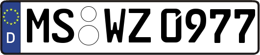 MS-WZ0977
