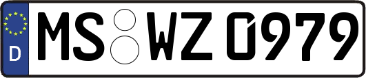 MS-WZ0979