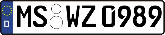 MS-WZ0989