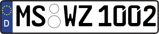 MS-WZ1002