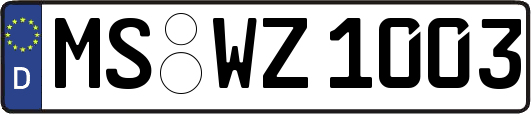 MS-WZ1003