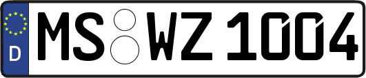 MS-WZ1004