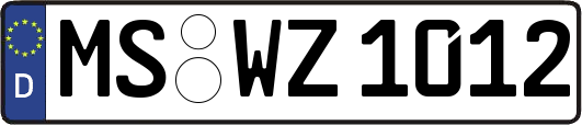 MS-WZ1012