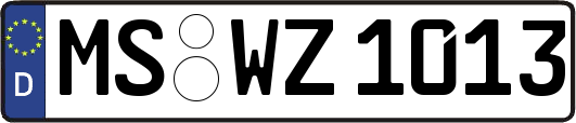 MS-WZ1013
