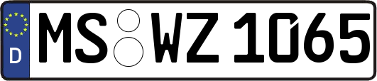 MS-WZ1065