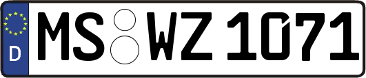 MS-WZ1071