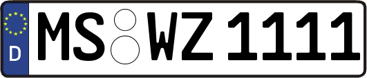 MS-WZ1111