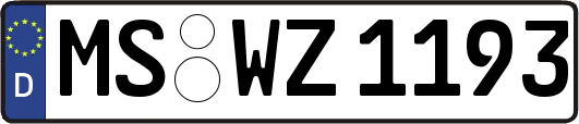 MS-WZ1193