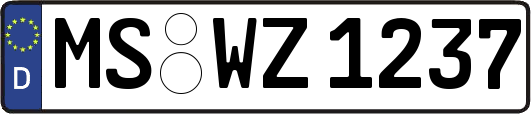 MS-WZ1237