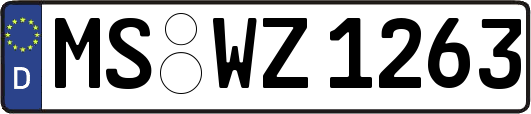 MS-WZ1263