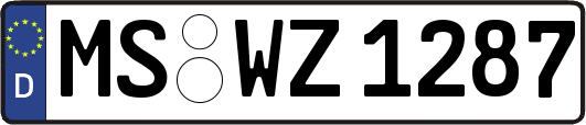 MS-WZ1287
