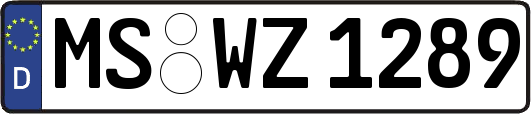 MS-WZ1289