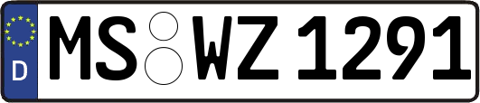 MS-WZ1291
