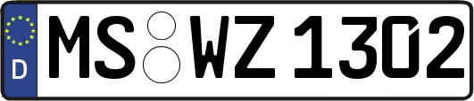 MS-WZ1302