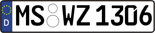 MS-WZ1306