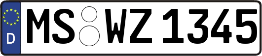 MS-WZ1345