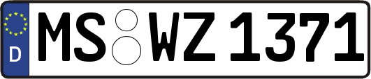 MS-WZ1371