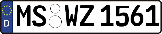 MS-WZ1561