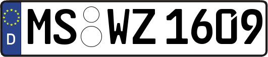 MS-WZ1609