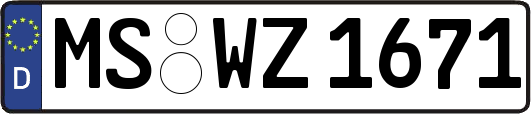 MS-WZ1671