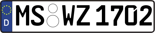 MS-WZ1702