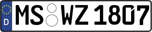 MS-WZ1807
