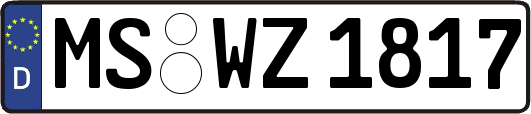 MS-WZ1817