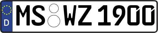 MS-WZ1900
