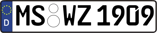 MS-WZ1909
