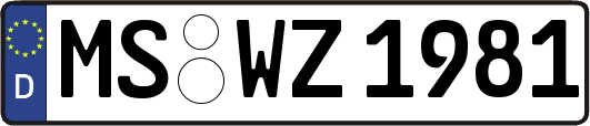 MS-WZ1981