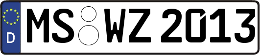 MS-WZ2013