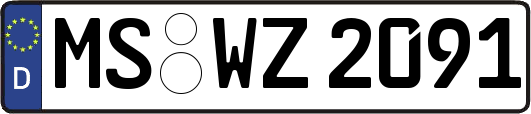 MS-WZ2091