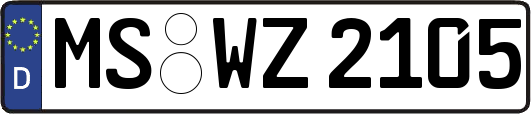 MS-WZ2105