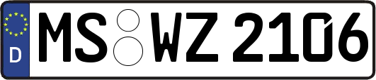 MS-WZ2106