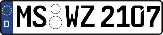 MS-WZ2107