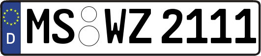 MS-WZ2111