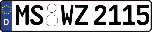 MS-WZ2115